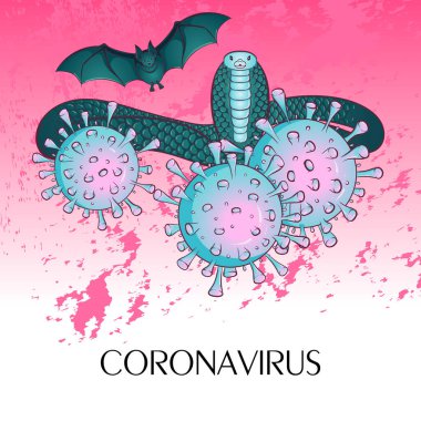 Coronavirus enfeksiyon taşıyıcıları
