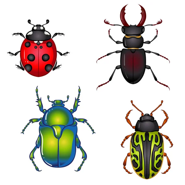 Insect beetles set — Stock Vector