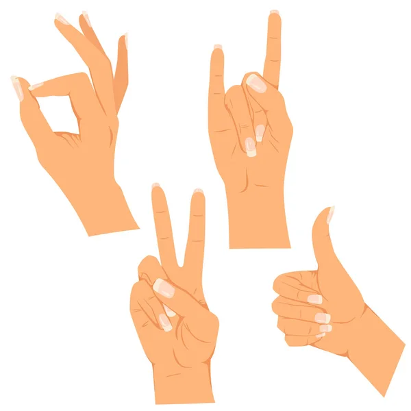 Gestures female hand — Stock Vector