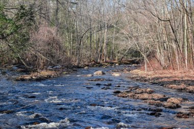 Quinapoxet nehri ormandan akıyor ve Wachusett rezervuarına ulaşıyor.