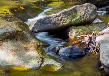  Willard Creek 'in çağlayan suları Willard Brook Eyalet Ormanı' nda.