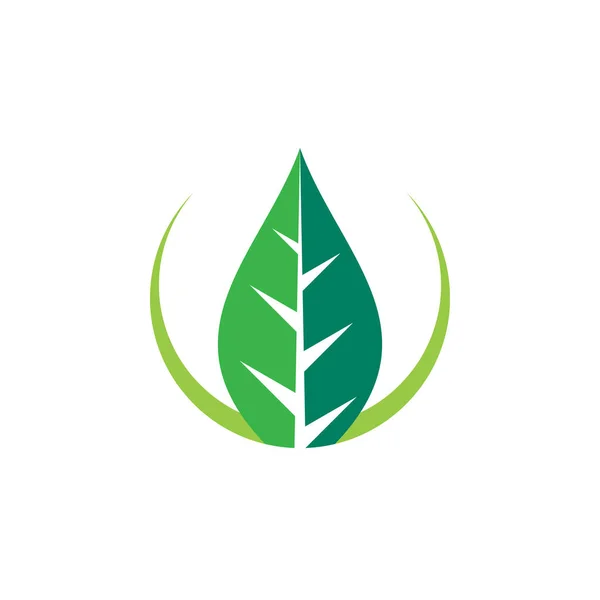 Logo Vectoriel Écologie Verte — Image vectorielle