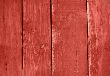 Mercan rengi ahşap doku. Ahşap tahta arka plan yüzeyi. 