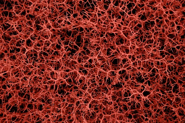 Koral kolor streszczenie tło — Zdjęcie stockowe