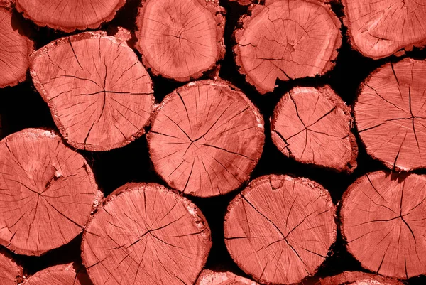 Coral color Cross section of the timber. A stack of dry firewood laid in a heap stored for for winter heating season — Stock Photo, Image