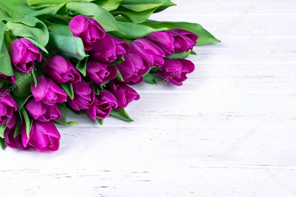 Purple tulips bouquet on white wooden background. 