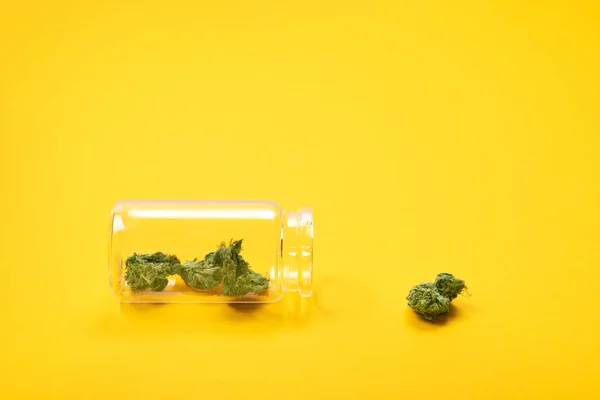 Getrocknete medizinische Cannabisknospen in einer Glasflasche auf gelbem Hintergrund. — Stockfoto