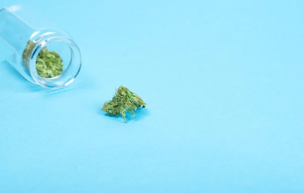 Boccioli di marijuana medica essiccati in una bottiglia di vetro su sfondo blu . — Foto Stock