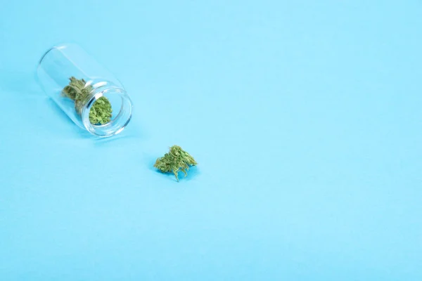 Gemme di cannabis medica essiccate in una bottiglia di vetro su sfondo blu . — Foto Stock