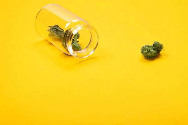 干燥的医用大麻芽在玻璃瓶在黄色背景. — 图库照片