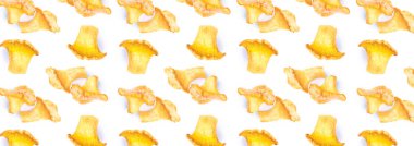 Taze chanterelles veya girolles mantar (Cantharellus cibarius) desen. Afiş.