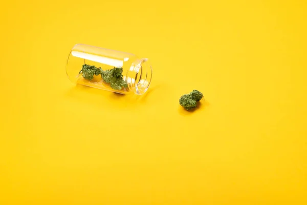 黄色背景玻璃瓶中的干医用大麻芽. — 图库照片