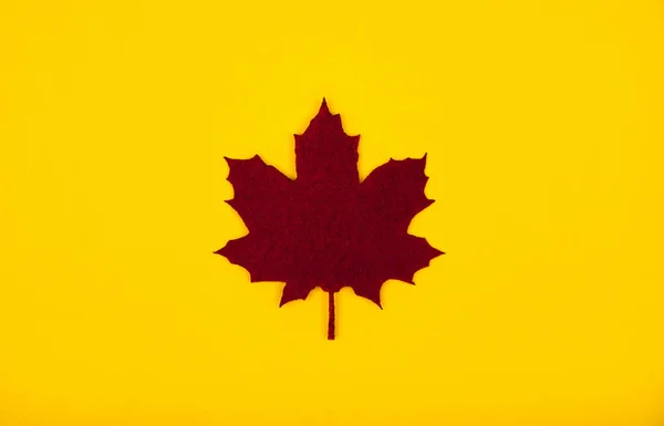 Decoratieve één donkerrood (Bourgondië) kleur vilt Maple Leaf. Herfst trendy achtergrond. Plaats voor tekst. — Stockfoto