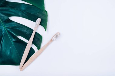 Beyaz arka planda tropikal bitki yaprağı monstera iki bambu diş fırçası. Plastik ücretsiz konsept.