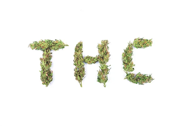 신선 한 녹색 마리화나 꽃이나 흰 배경의 꽃봉오리로 만든 THC 라는 단어. — 스톡 사진