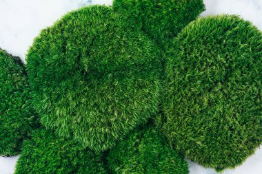 Doğal koyu yeşil yosun arkaplanının üst görüntüsü. Sıfır atık ve çevre bilinci kavramı.