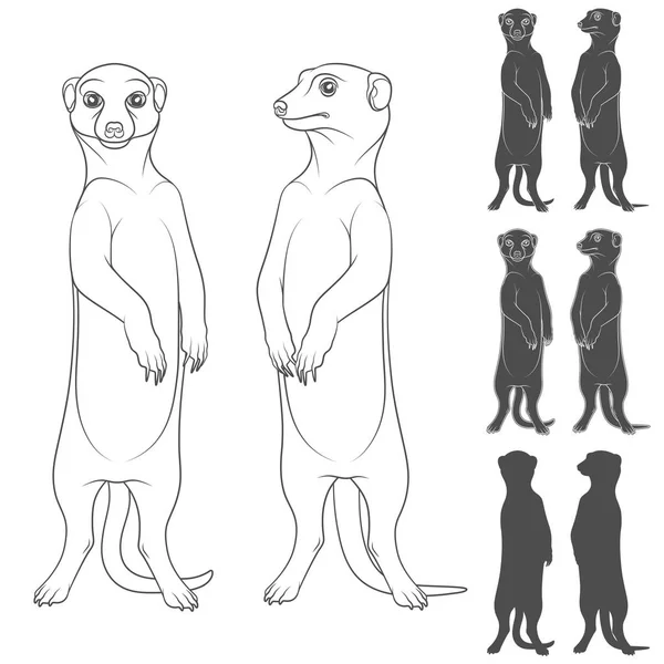 Σύνολο Από Μαύρο Και Άσπρο Εικόνες Που Απεικονίζουν Meerkats Μεμονωμένα — Διανυσματικό Αρχείο