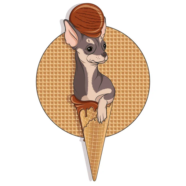 一只吉娃娃的狗在他头上放冰淇淋的华夫饼杯里的插图 白色背景上的矢量有色隔离对象 — 图库矢量图片