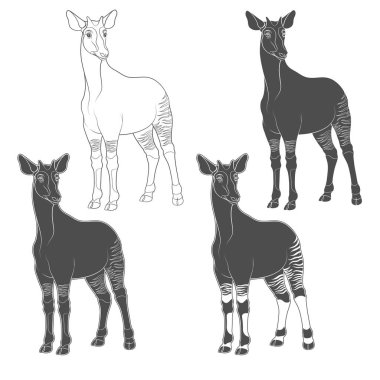 Okapi ile siyah beyaz görüntüler küme. Beyaz arka plan üzerinde izole vektör nesneleri.