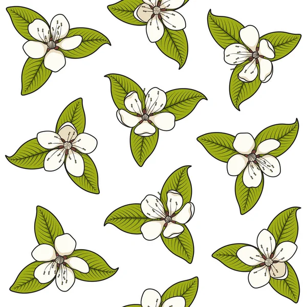 无缝的图案与白色春天的花朵 在白色背景上与孤立对象的颜色矢量图 — 图库矢量图片