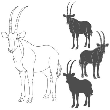 Oryx antilop ile siyah beyaz çizimler kümesi. Beyaz arka plan üzerinde izole vektör nesneleri.