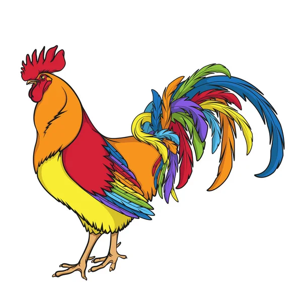 Rainbow Rooster Cock Color Isolated Vector Illustration White Background — Stock Vector