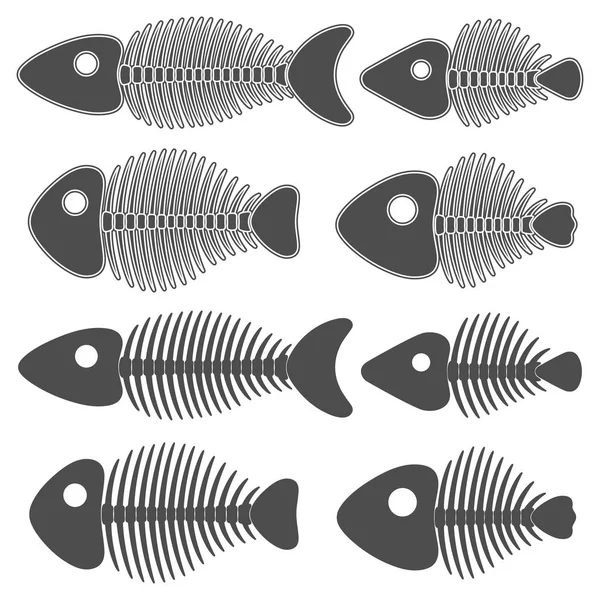 Ensemble Illustrations Noir Blanc Avec Squelettes Poissons Objets Vectoriels Isolés — Image vectorielle