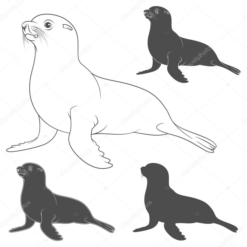 Set of black and white illustrations with a fur seal. Isolated vector objects on white background.