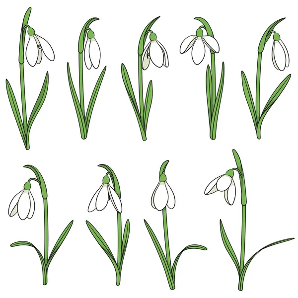 Ensemble Illustrations Couleurs Avec Des Gouttes Neige Objets Vectoriels Isolés — Image vectorielle