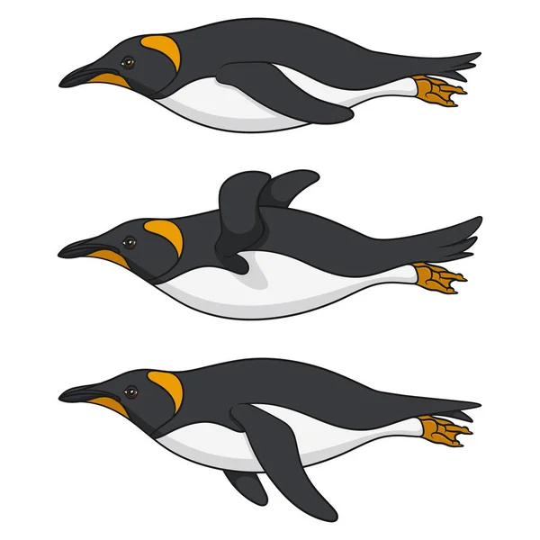 Conjunto Imágenes Color Pingüino Nadando Objetos Vectoriales Aislados Sobre Fondo — Vector de stock