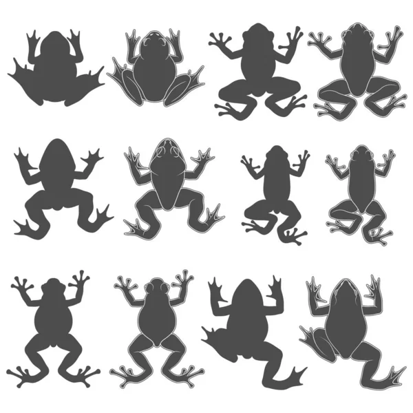 Conjunto Ilustraciones Blanco Negro Con Ranas Árboles Ríos Objetos Vectoriales — Vector de stock