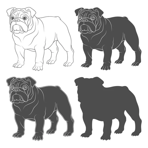 Állítsa Fekete Fehér Illusztrációk Angol Bulldog Izolált Vektoros Objektumok Fehér — Stock Vector