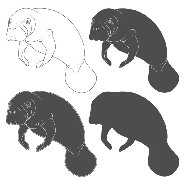 Állítsa Fekete Fehér Illusztrációk Manatee Tengeri Tehén Elszigetelt Vektoros Objektumok — Stock Vector