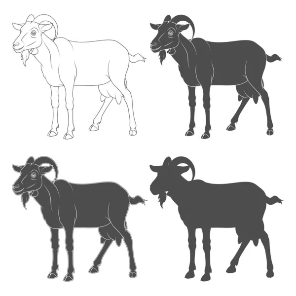 Conjunto Ilustrações Preto Branco Retratando Uma Cabra Objetos Vetoriais Isolados — Vetor de Stock
