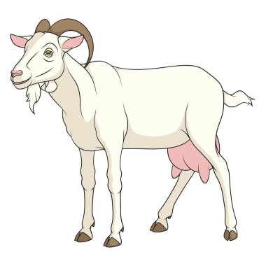 Color image with white milch goat. Isolated vector object on a white background. clipart