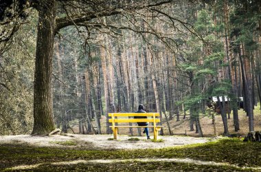 Bankta oturan adam. Güzel bir orman. Bahar yeşil ilerler. Gündüz gölgeleri. İnanılmaz doğa.