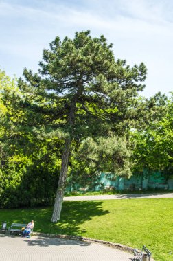 Odesa city, Ukrayna, 19 Mayıs 2019. Olay 