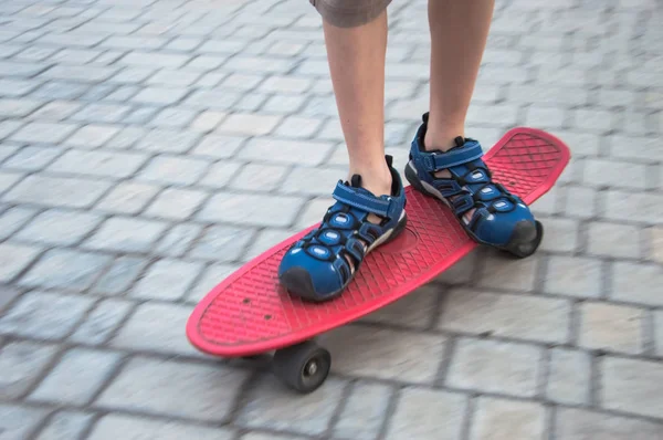 Popularne Penny Board — Zdjęcie stockowe