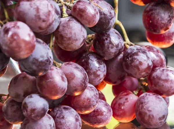 Aglomerados de uvas vermelhas — Fotografia de Stock