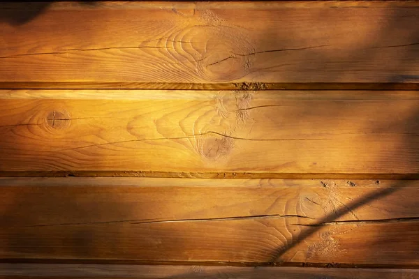 Wood texture. Wall of light wood treated with varnish