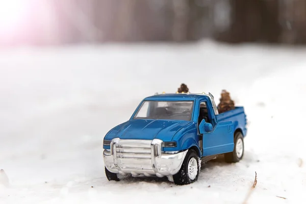 Blue toy pickup truck in winter forest on the road with open door.