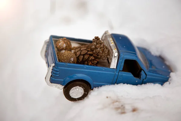 Blue toy pickup truck stuck in snowdrift. Carrying fir cones in the back of a car body.