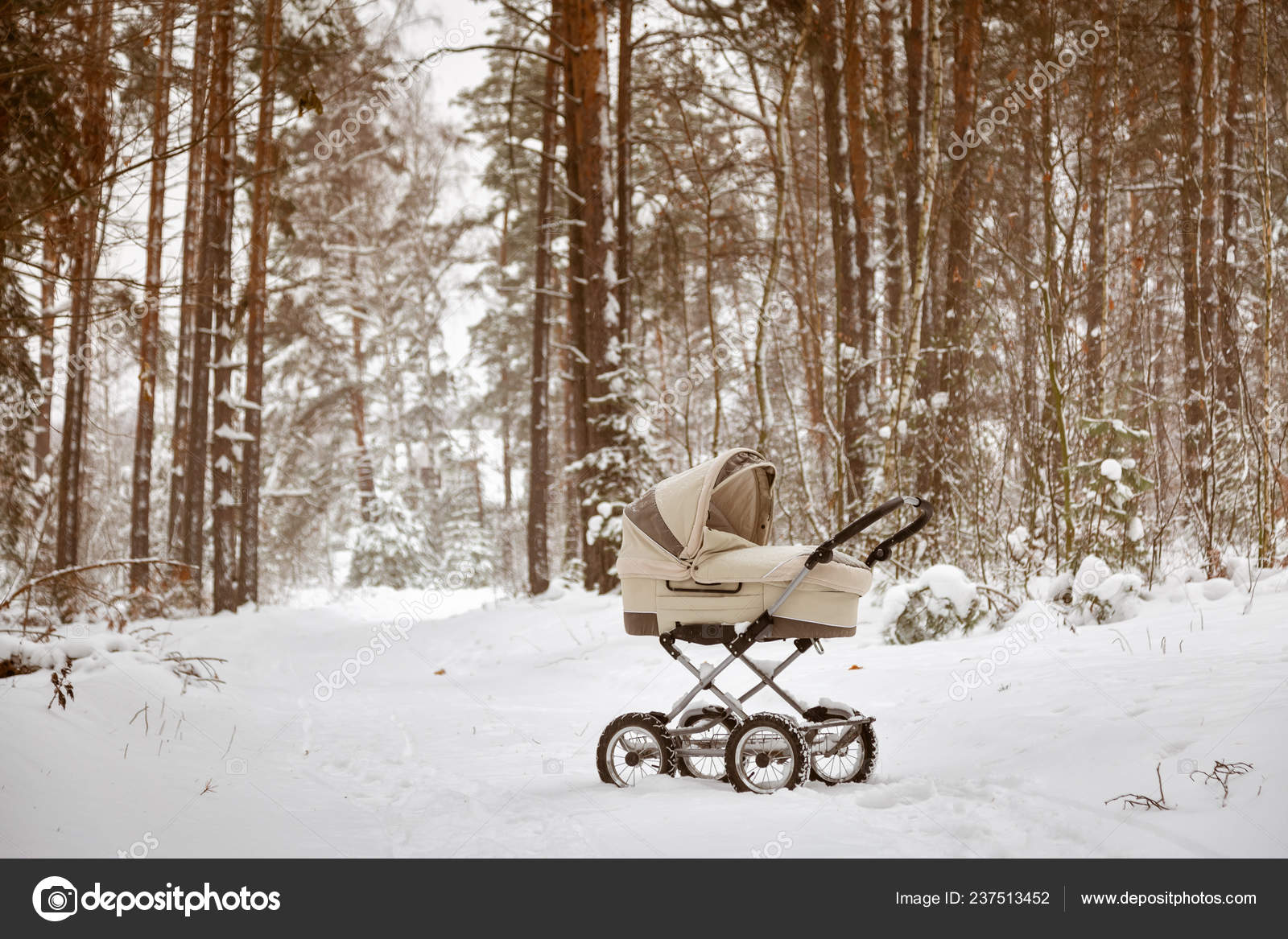 winter stroller