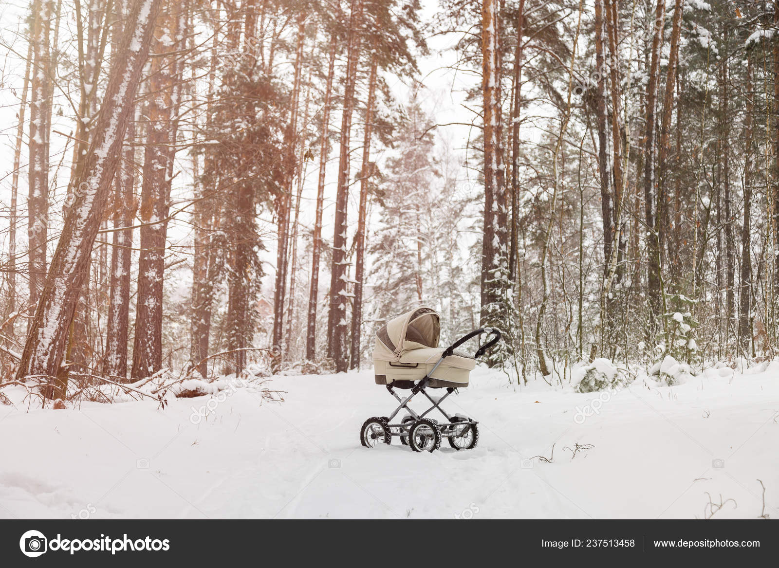 stroller for winter