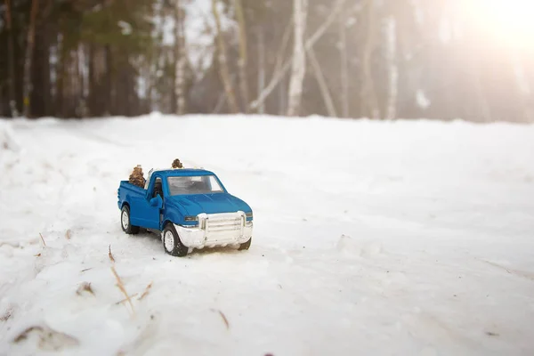 A toy. Blue pickup truck in winter forest with open door on the road. Carrying fir cones in the back of a car body
