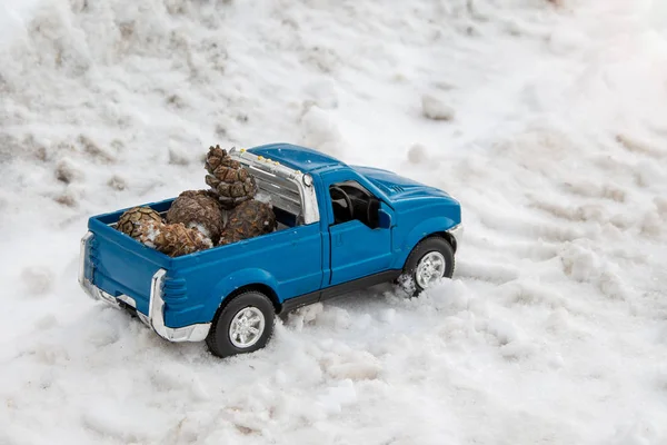 A toy. Blue pickup truck in winter forest on the road. Carrying fir cones in the back of a car body.