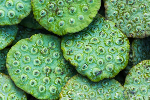 Grønne lotuskapsler på et gatemarked – stockfoto