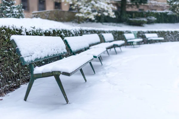 Ławy pod śniegiem w parku publicznym w zimie — Zdjęcie stockowe