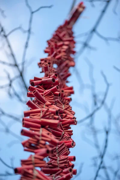 Полоса красных петард, висящих на дереве — стоковое фото