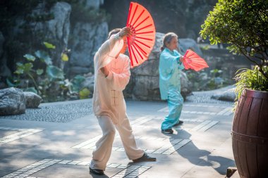 Tai Chi Çin bir parkta pratik insanlar